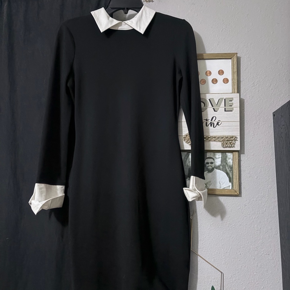 VENUS Black & White Collared Dress
